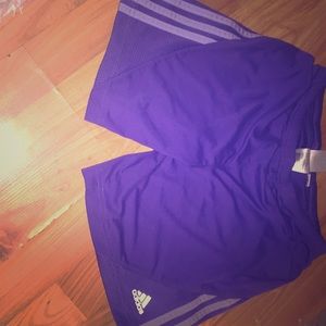 Adidas purple shorts